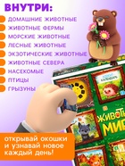 Адвент - календарь с проектором «Животные мира», 9 слайдов, 72 карточки - Фото 6
