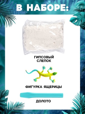 Набор для раскопок «В поисках ящерки»