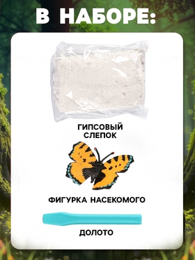 Раскопки «В поисках букашки»