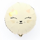 Воздушный шар фольгированный 17" «Кошечка» - Фото 1