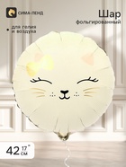 Воздушный шар фольгированный 17" «Кошечка» - Фото 1