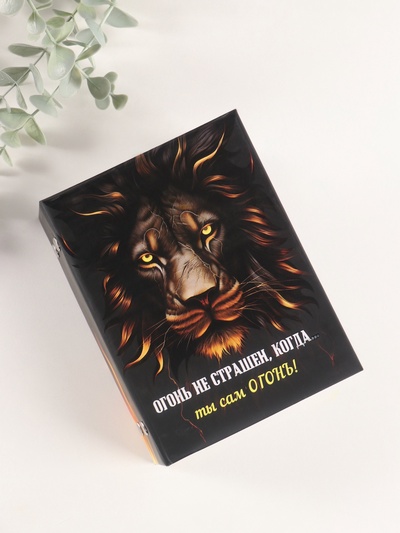 Фотоальбом на 96 фото 10×15 см «Лев и пламя», матовый с ламинацией, 16.5×12×5.5 см