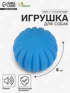 Пищащая игрушка для собак «Мяч с отсечками», 6 см, синяя - Фото 1