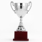 Кубок 045, наградная фигура, серебро, подставка пластик, 20 см - Фото 3