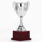 Кубок 045, наградная фигура, серебро, подставка пластик, 20 см - Фото 4