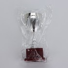 Кубок 045, наградная фигура, серебро, подставка пластик, 20 см - Фото 6