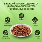 ШБ Влажный корм Kitekat для кошек, ягнёнок, 28 х 85 г 9212868 - фото 16355164