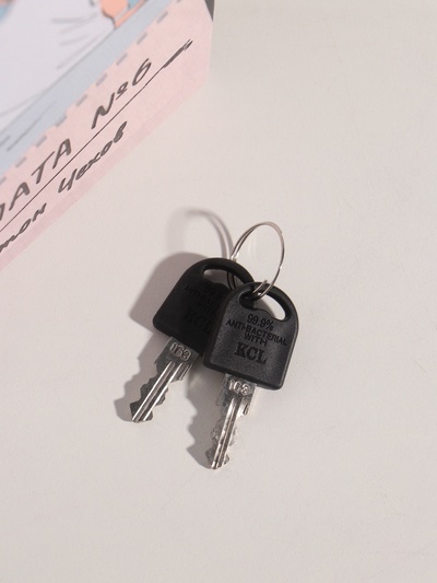 Сейф-книга дерево кожзам "Антон Чехов. Палата №6" 21х13х5 см