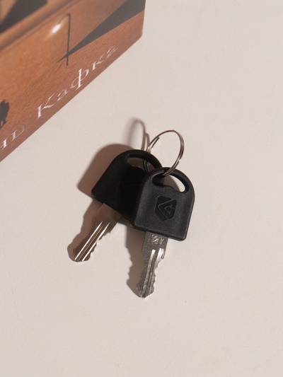 Сейф-книга дерево кожзам "Франц Кафка. Процесс" тиснение 21х13х5 см