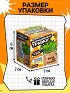 Набор для опытов «Выращиваем травку», своими руками, оранжевый - Фото 3