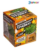 Набор для опытов «Выращиваем травку», своими руками, оранжевый - Фото 5