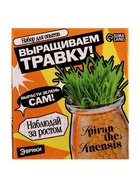Набор для опытов «Выращиваем травку», своими руками, оранжевый - Фото 10
