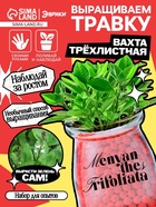 Набор для опытов «Выращиваем травку» своими руками, красный - Фото 1