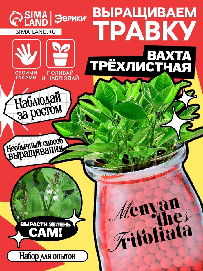 Набор для опытов «Выращиваем травку» своими руками, красный - Фото 1