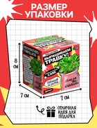 Набор для опытов «Выращиваем травку» своими руками, красный - Фото 3