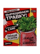 Набор для опытов «Выращиваем травку» своими руками, красный - Фото 10