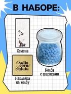 Набор для опытов «Выращиваем травку», своими руками, голубой - Фото 2