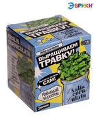 Набор для опытов «Выращиваем травку», своими руками, голубой - Фото 5