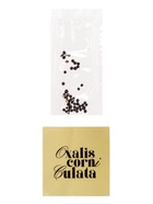 Набор для опытов «Выращиваем травку», своими руками, голубой - Фото 9