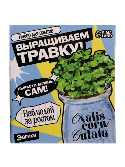 Набор для опытов «Выращиваем травку», своими руками, голубой