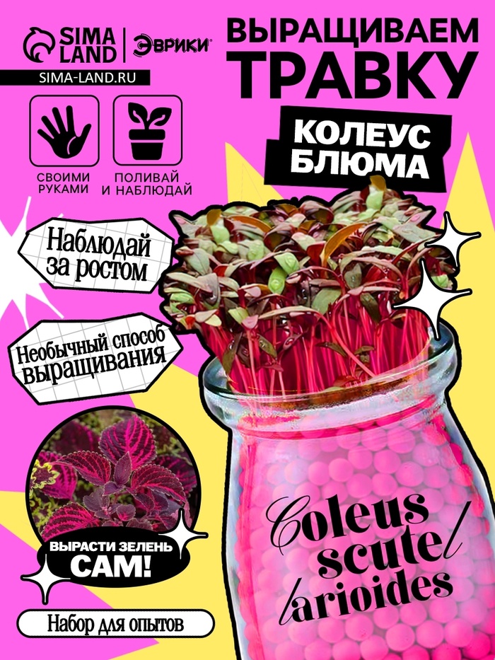 Набор для опытов «Выращиваем травку», своими руками, розовый - Фото 1