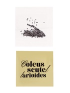 Набор для опытов «Выращиваем травку», своими руками, розовый - Фото 9