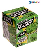 Набор для опытов «Выращиваем травку», своими руками, зеленый - Фото 5