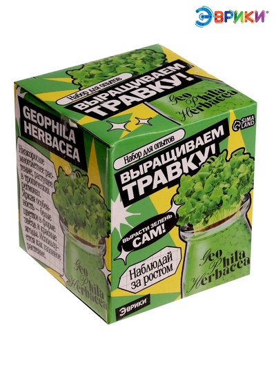 Набор для опытов «Выращиваем травку», своими руками, зеленый