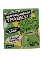 Набор для опытов «Выращиваем травку», своими руками, зеленый - Фото 10