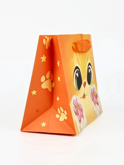 Пакет подарочный «Котик», 19.5 х 14.5 х 8.5 см