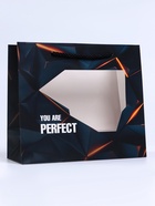 Пакет подарочный с окном Perfect, 25×10×22 см - Фото 2
