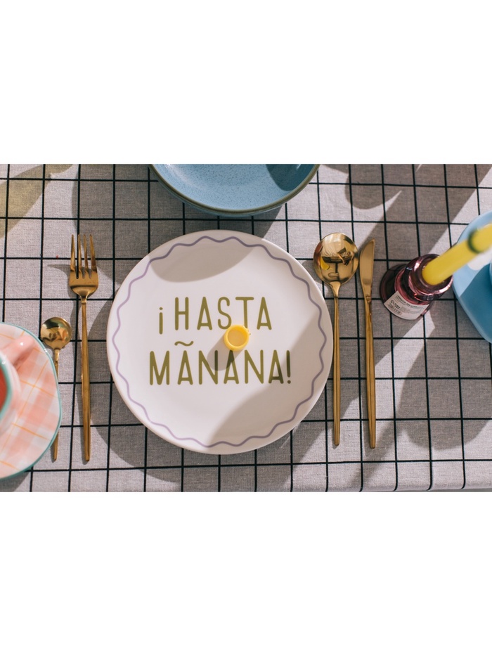 Тарелки SL Home «Уроки испанского: ¡Hasta mañana - Buenos dias», d=22 см, набор 2 шт., фарфор, белые, фиолетовые - фото 114592276