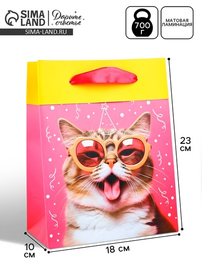 Пакет ламинированный двухсторонний «Котик», MS 18×23×10 см