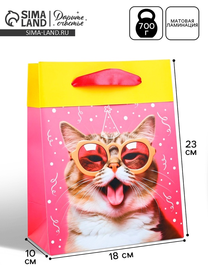 Пакет ламинированный двухсторонний «Котик», MS 18×23×10 см - Фото 1