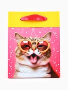 Пакет ламинированный двухсторонний «Котик», MS 18 × 23 × 10 см - фото 808692608