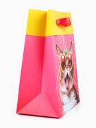 Пакет ламинированный двухсторонний «Котик», MS 18 × 23 × 10 см - фото 808692609