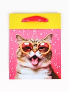 Пакет ламинированный двухсторонний «Котик», MS 18 × 23 × 10 см - фото 809028963