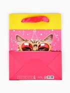 Пакет ламинированный двухсторонний «Котик», MS 18 × 23 × 10 см - фото 809178488