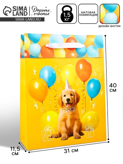 Пакет ламинированный двухсторонний «С днём рождения», L 31×40×11.5 см