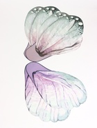 Бумага фигурная для букетов «Крылья бабочки», сиренево - мятный, 52×56 см, набор 10 шт. - Фото 3