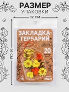 Закладка - гербарий для книг своими руками, набор для творчества, 20 основ - Фото 4
