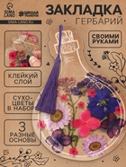 Набор для творчества «Закладка-гербарий», 3 основы+сухоцветы - Фото 1