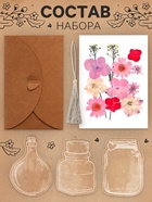 Набор для творчества «Закладка-гербарий», 3 основы+сухоцветы - Фото 2