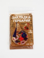 Набор для творчества «Закладка-гербарий», 3 основы+сухоцветы - Фото 7