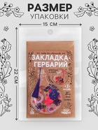Набор для творчества «Закладка-гербарий», 3 основы+сухоцветы - Фото 3