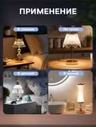 Светильник настольный RISALUX «Бабочки», интерьерный, LED, 10 Вт, хром, 15.5×15.5×33 см - Фото 4