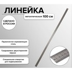 Линейка стальная (пружинистая нержавеющая) 100 см, в футляре - Фото 1
