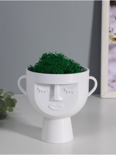 Стабилизированный мох в кашпо пластиковом «Чаша», 10.5×9×11.5 см, белый