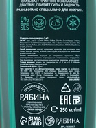 Гель для душа и шампунь освежающий 2 в 1 «Ледяная свежесть», 250 мл, аромат мята, яблоко и лимон, HARD LINE - Фото 3
