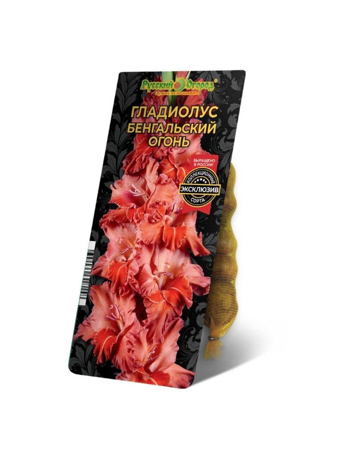 Гладиолус «Бенгальский Огонь», диаметр 10-12, 5 шт., Весна 2025 - Фото 1
